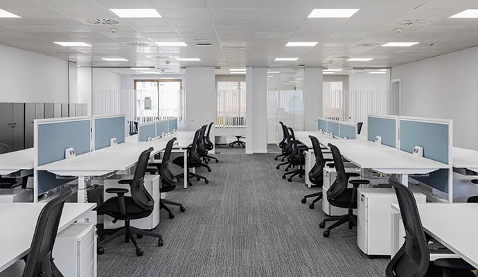 A open-plan office featuring symmetrical rows of white sit-stand desks