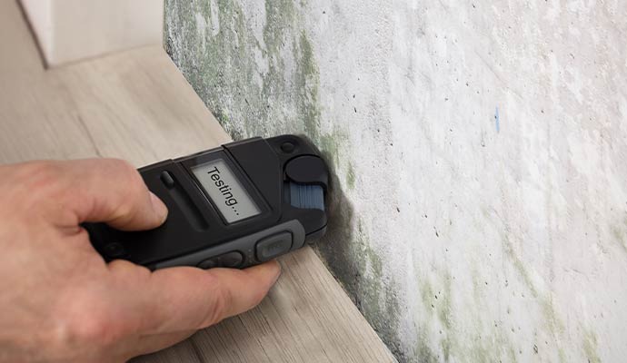 A technician testing molded wall using a digital moisture meter