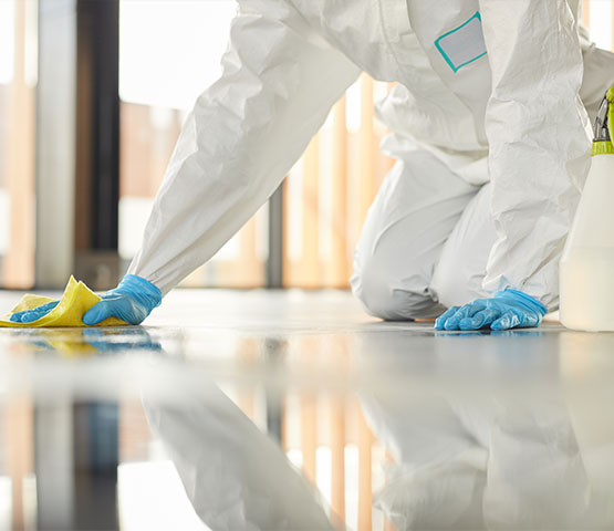Professional floor sanitization service