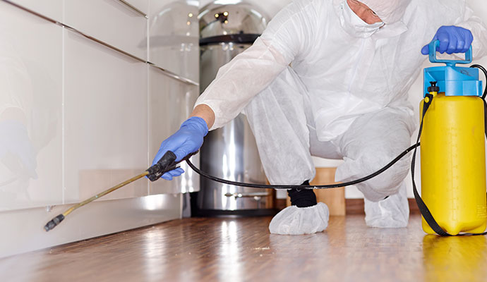 Professional with hazmat suit spraying to disinfect a room