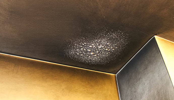 Smoke damaged ceiling and wall