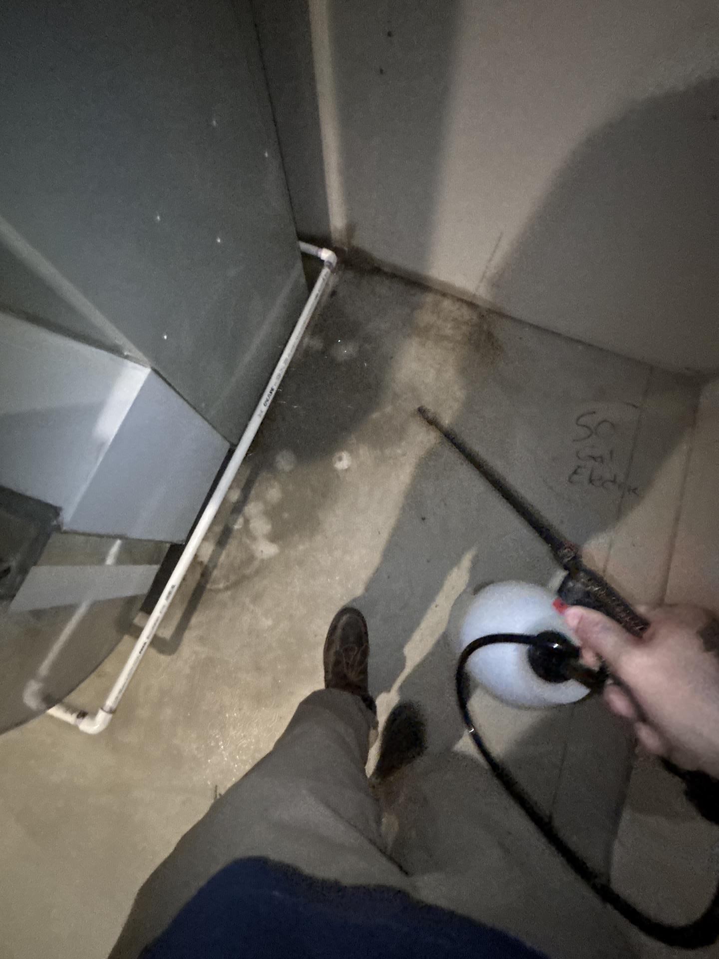 Technician applying EPA-registered antimicrobial solution to the affected basement floor area after water damage.