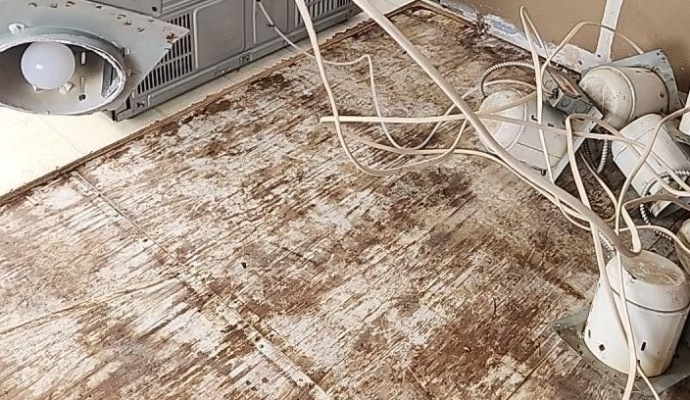 Kitchen sewage water damage subfloor