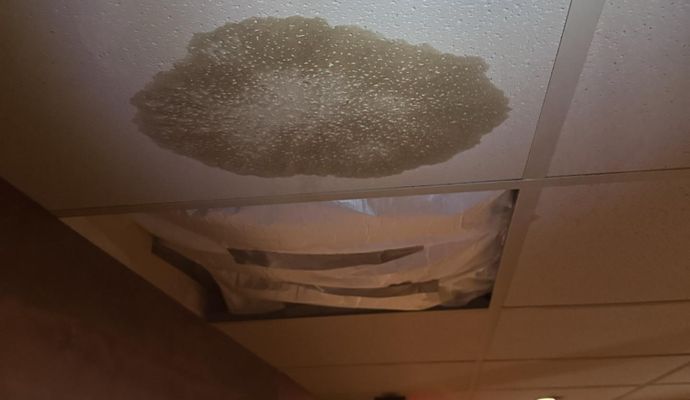 A prominent circular water stain on a commercial drop ceiling tile