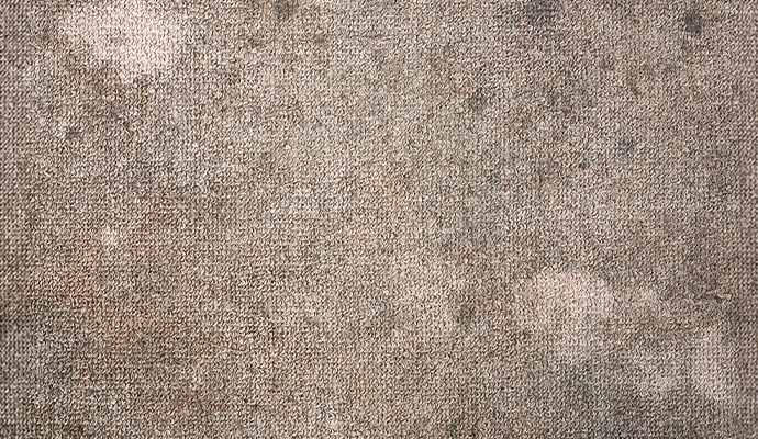 Mold damaged carpet