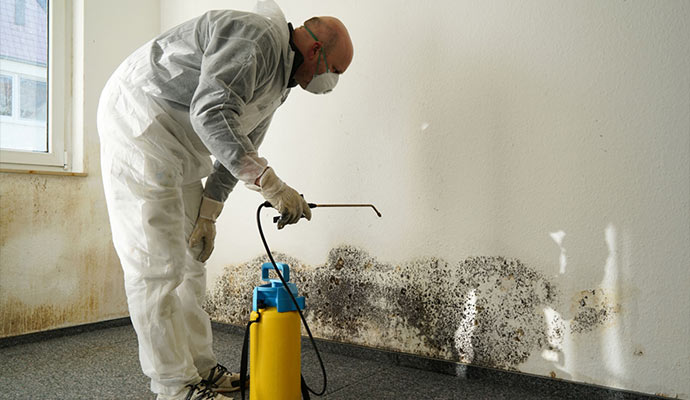 Mold remediation service by Cousino Restoration & Environmental