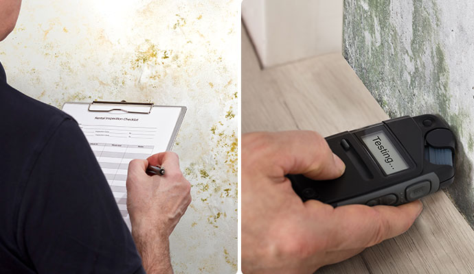 Collage of professional inspecting and testing molded wall