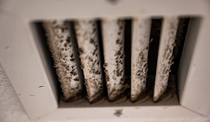 Mold and dust buildup inside an hvac vent