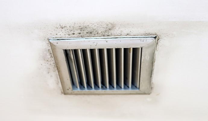 Moldy HVAC vent cover