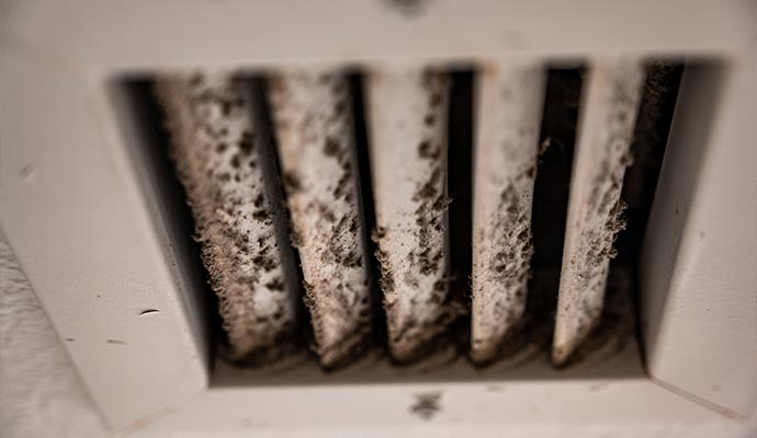 HVAC Mold Remediation in Toledo and Ann Arbor