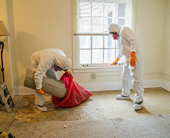 Professional trauma scene cleanup service
