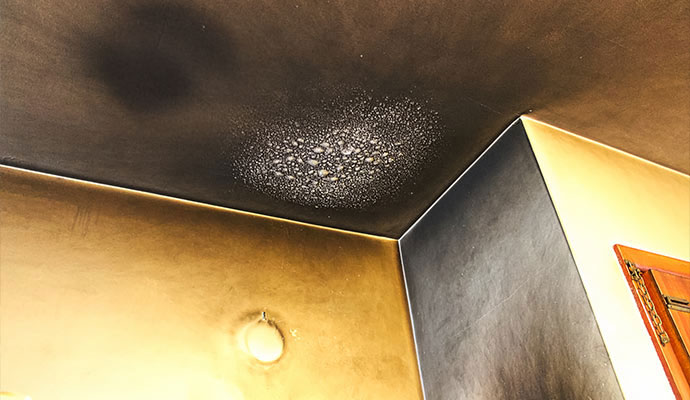 Smoke damaged ceiling