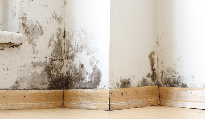 Mold growth on walls and baseboard