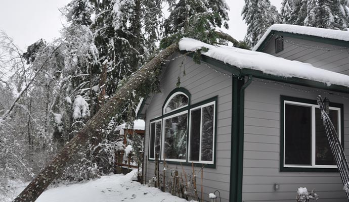 Tree fallen on a house roof during a winter storm.