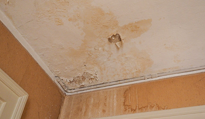 Water damage stains on ceiling caused by roof leak