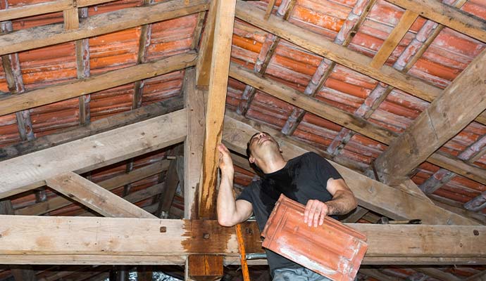 Technician inspecting water-damaged wooden roof framing in an attic