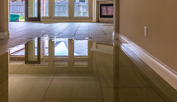 Flooded living room with standing water