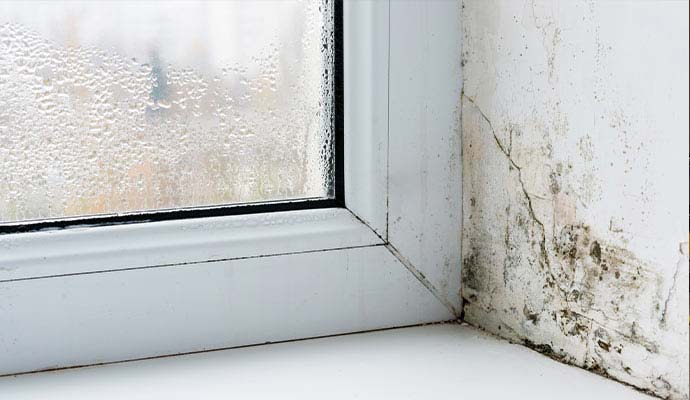 Moisture on window wall