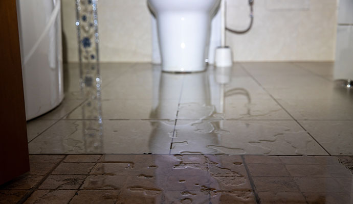 Standing water on a bathroom tile floor in front of a toilet
