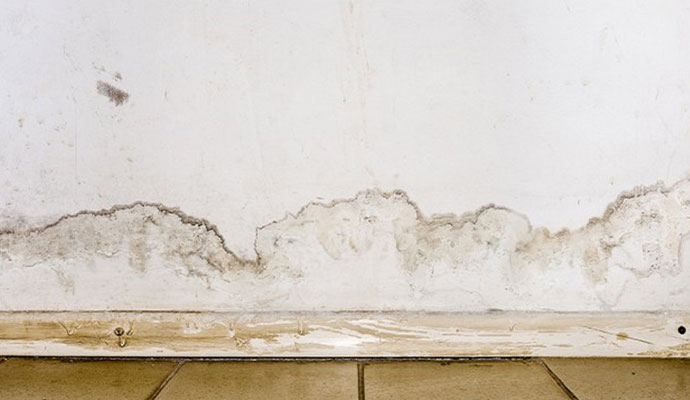 Structural water damage to a wall.