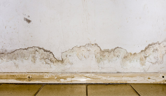 Water damage and mold stains on wall above baseboard