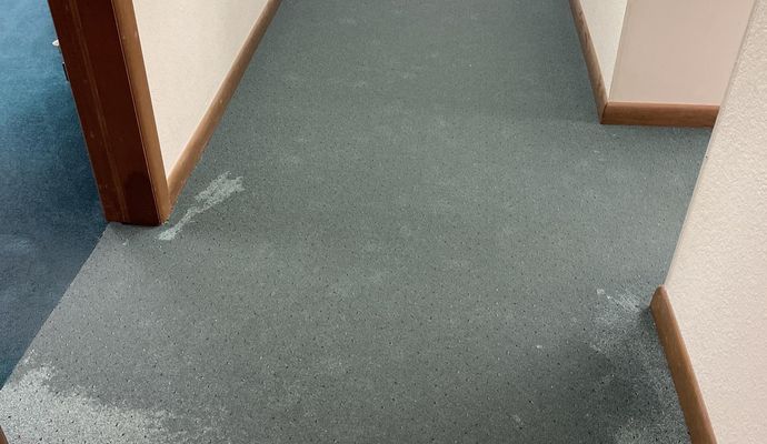 Water damaged carpet hallway