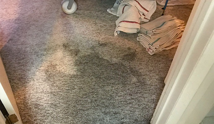 Water damaged carpet